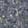 tileable background
