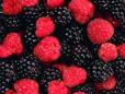background: Berries