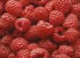 background: Strawberry