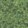 tileable background