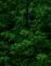 tileable background
