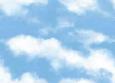 background: Cloudy Day