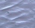 tileable background