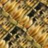 tileable background