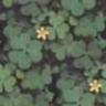 tileable background