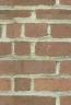background: Wallness