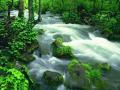 background: River
