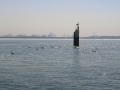 background: Hoek van Holland