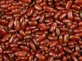 background: small beans