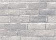 background: White wall