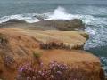background: Shore