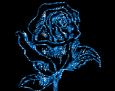 background: flower