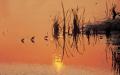 background: Sandpipers in the Sunset