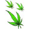 background: GANJA