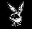 background: CHROME BUNNY