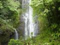 background: Maui - Road to Hana