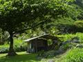 background: Shack on the Road to Hana (Maui, HI)