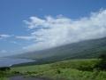 background: Maui