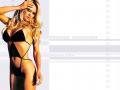 background: Pamela Anderson