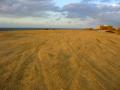 background: Ashkelon