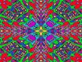 background: katydid