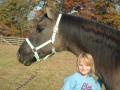 background: My horse Blue