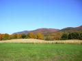 background: Field with Mountains