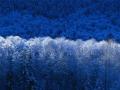 background: nature images