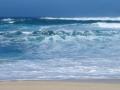 background: beach in oahu