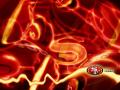 background: 49ers