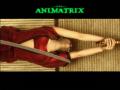 background: Animatrix