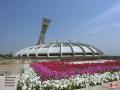 background: Olympic Stadium (Montr�al)