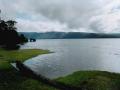 background: Lake St. Clair, Tasmania