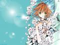 background: Sakura