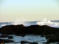 background: Tide Pool