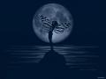 background: Full Moon & Fairy