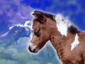 background: Horse
