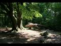 background: Log