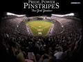 background: yankees pride