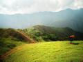 background: my aunt farm on the mountains