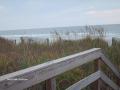 background: Boardwalk/ocean