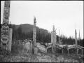 background: Haida Village Pacific NW