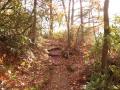 background: The Path