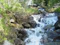 background: Waterfall in the woods