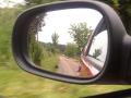 background: Road