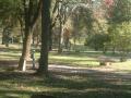 background: pequea creek campground
