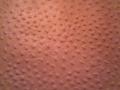 background: leather