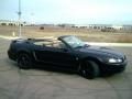 background: 2001 stang
