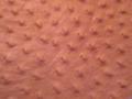 background: leather