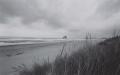 background: black and white ocean